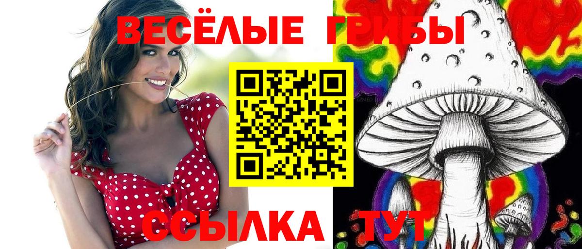 Галлюциногенные грибы Psilocybe  Вход с VPN  Нерюнгри 