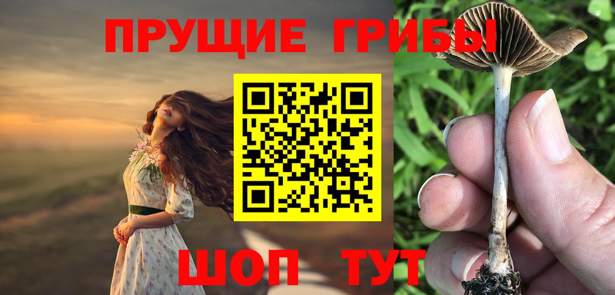 Псилоцибиновые грибы ЛСД Нерюнгри